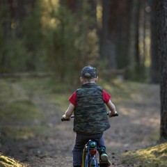 aaa