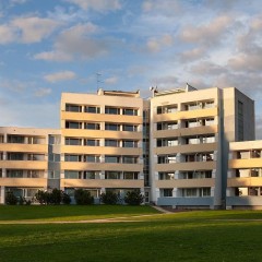 aaa