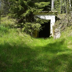 aaa