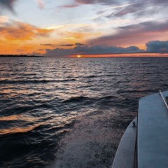 aaa