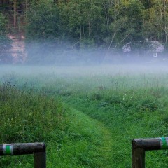 aaa