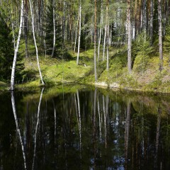 aaa