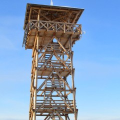aaa
