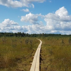aaa