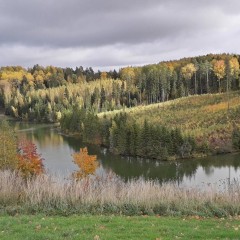 aaa