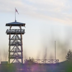 aaa