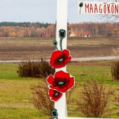 aaa