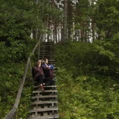 aaa