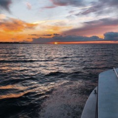aaa