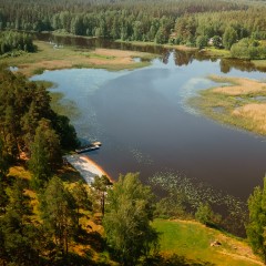 aaa