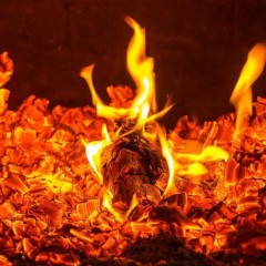 aaa
