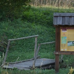 aaa