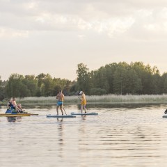 aaa
