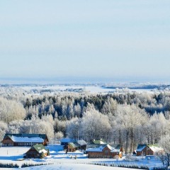 aaa