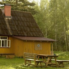 aaa