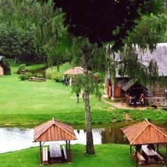 aaa