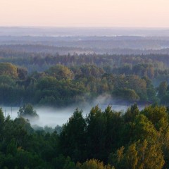 aaa
