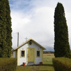 aaa