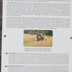 aaa