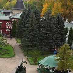 aaa