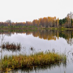 aaa