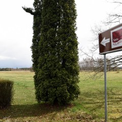 aaa