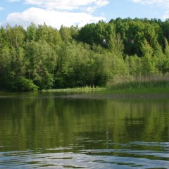 aaa