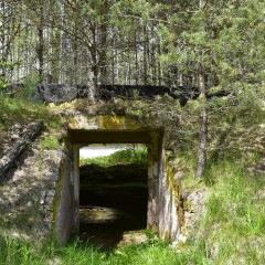 aaa