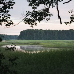 aaa