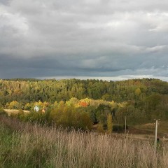 aaa