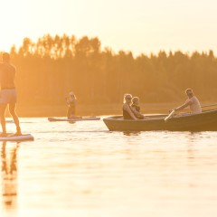 aaa