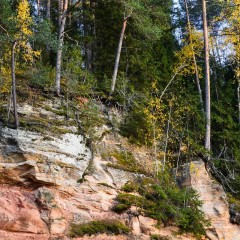 aaa